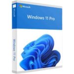 Windows 11 Pro 64-Bit English 1PK DSP OEI DVD