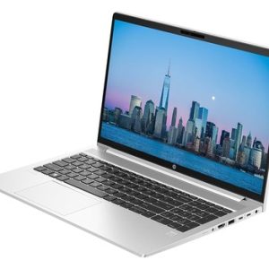 HP ProBook 450 G10